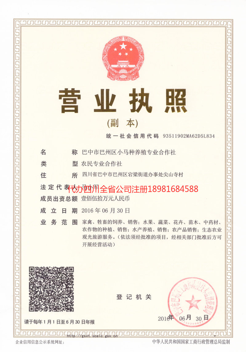 招远招远小马种养殖专业合作社